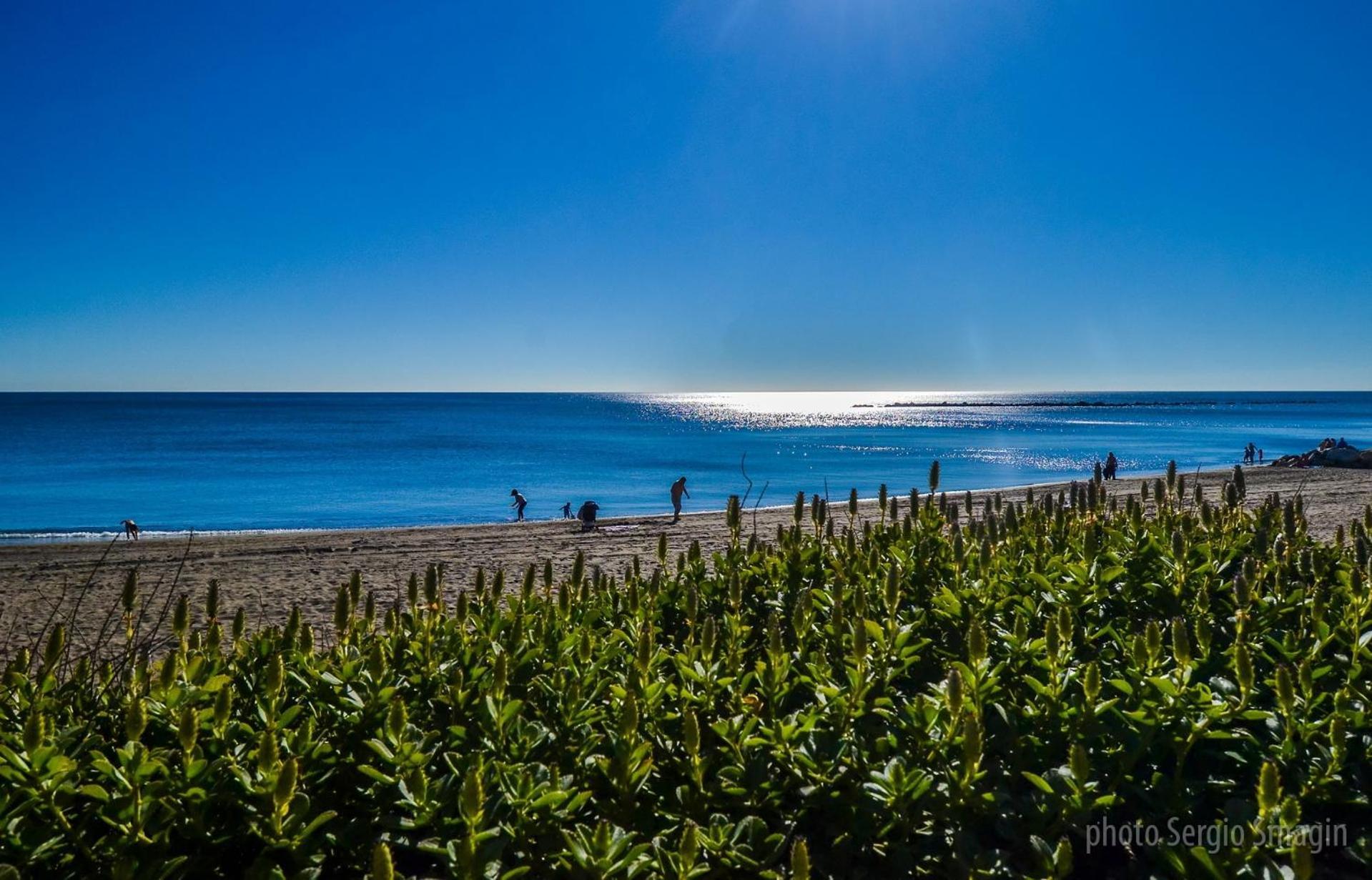 Los Patos I Apartamentos - Segunda Linea De Playa - Parking Gratis - Piscina เบนัลมาเดนา ภายนอก รูปภาพ